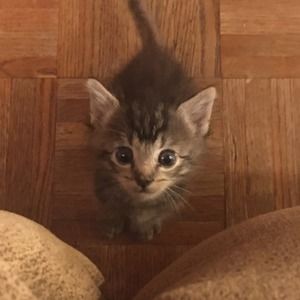 Meet your Posher, Dylan